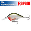 DT- 6 - Rapala