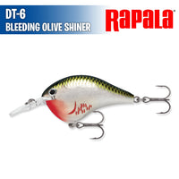 DT- 6 - Rapala