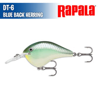 DT- 6 - Rapala