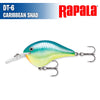 DT- 6 - Rapala