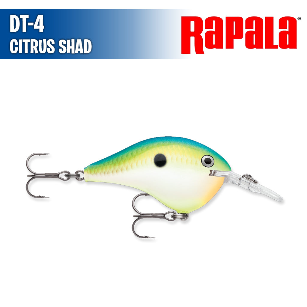 DT-4 - Rapala