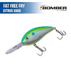 Fat Free Fry - Bomber