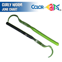 Curly Worm 7" - Color Baits