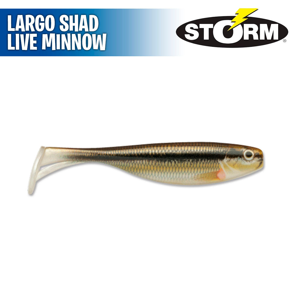 Largo Shad 3" - Storm