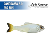 Panorama 5.0 - 6th Sense