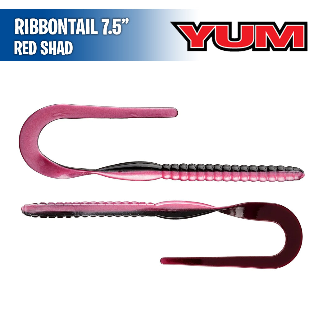 Ribbontail 7.5" - Yum