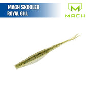 Mach Skooler 4" - Mach Baits