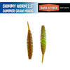 Shimmy Worm 2.5" -  Bass Attack