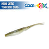 Mini Jerk 4” - Color Baits