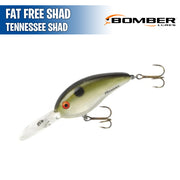 Fat Free Shad - 3" - Bomber