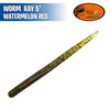 Worm Ray 5" - Geco Lures