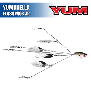 Yumbrella Flash Mob Jr. - YUM