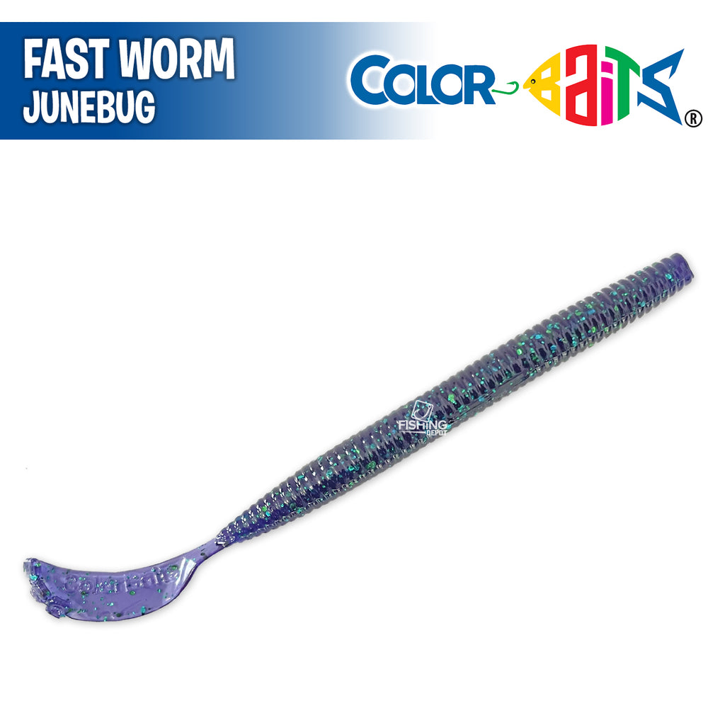 Fast Worm 6.5 - Color Baits