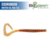 ExoRibbon 10" - Bio Spawn