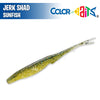 Jerk Shad 5" - Color Baits