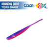 Minnow Shot 4" - Color Baits