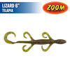 Lizard 6" - Zoom