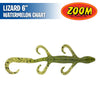 Lizard 6" - Zoom